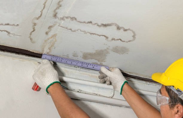 Reliable Burst Pipe Cleanup contractor in Wheaton, MN by Water Damage Irwin